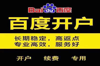 竞价广告案例分析：行业竞争激烈下的突围之路